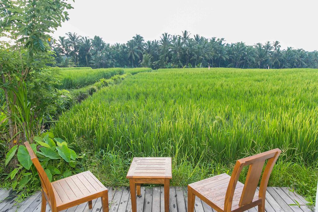 Solo Villas & Retreat Ubud Zewnętrze zdjęcie