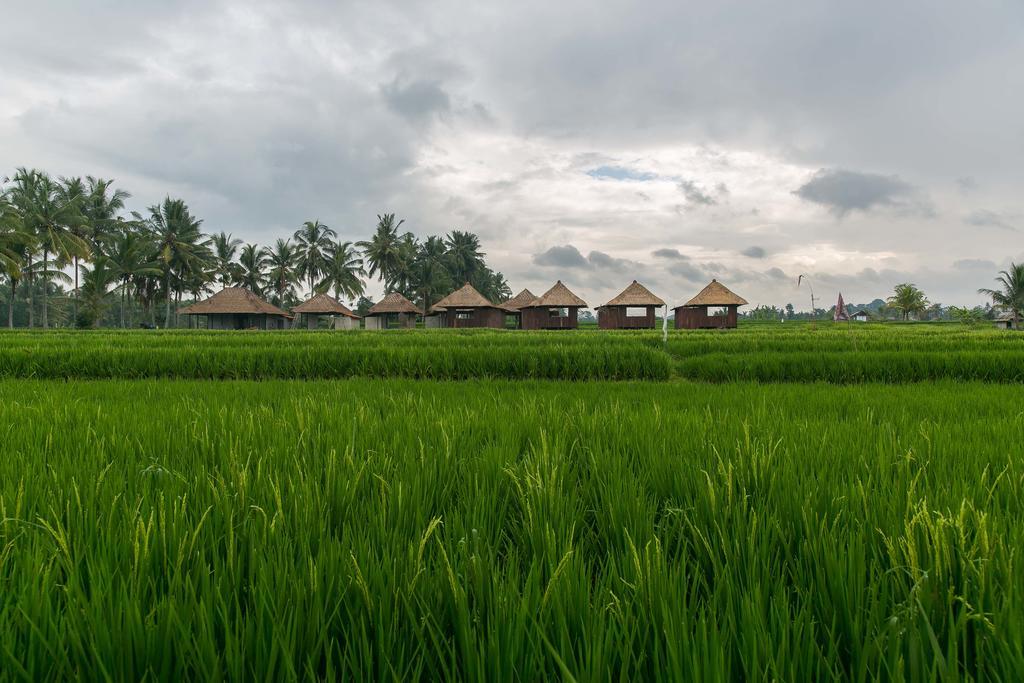 Solo Villas & Retreat Ubud Zewnętrze zdjęcie