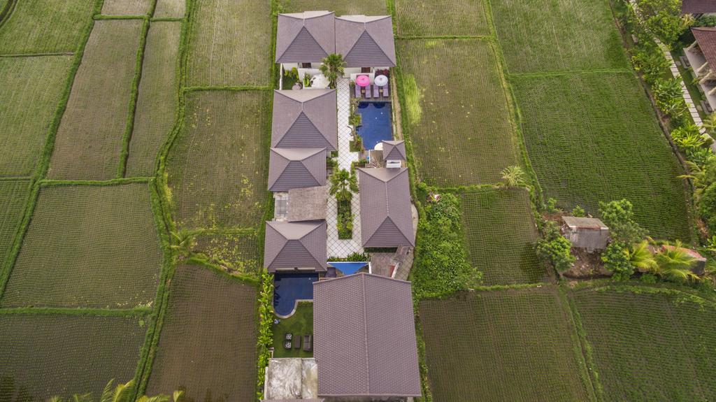 Solo Villas & Retreat Ubud Zewnętrze zdjęcie