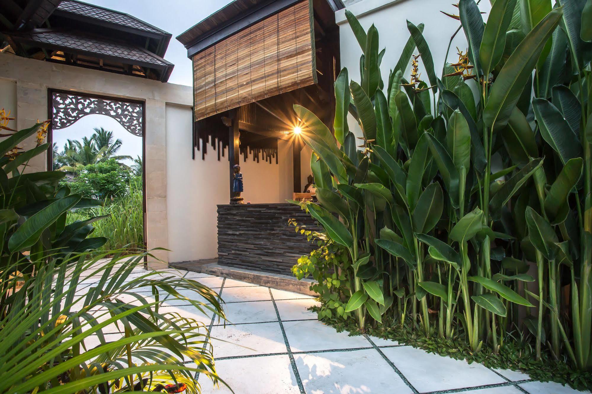 Solo Villas & Retreat Ubud Zewnętrze zdjęcie
