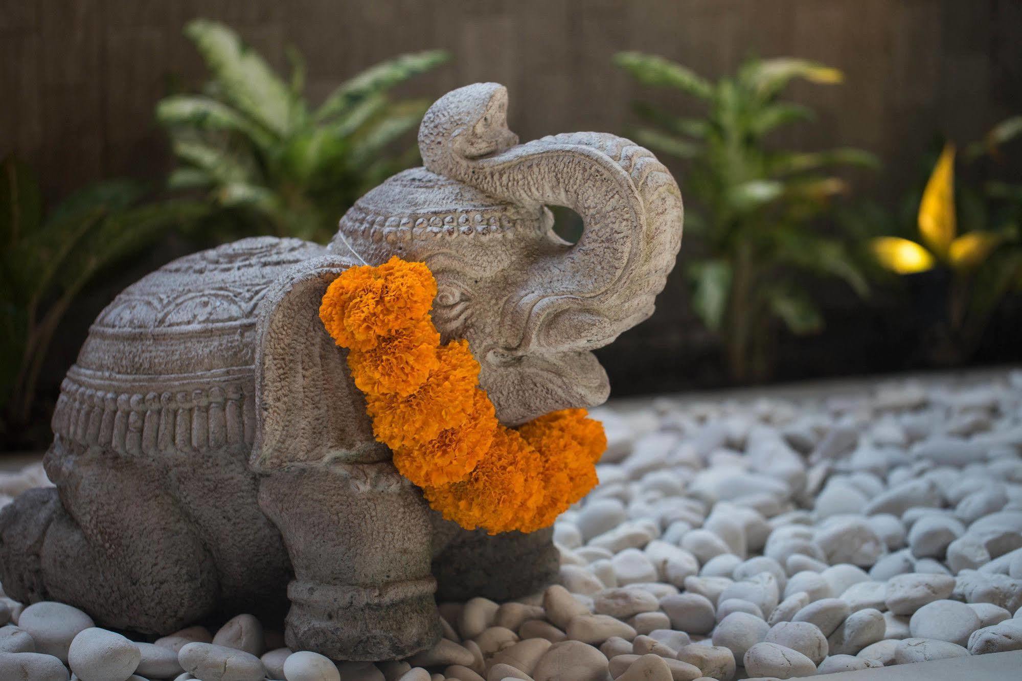 Solo Villas & Retreat Ubud Zewnętrze zdjęcie